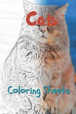 Cat Coloring Sheets: 30 Cat Drawings, Coloring Sheets Adults Relaxation, Coloring Book for Kids, for Girls, Volume 2 By Julian Smith Cover Image