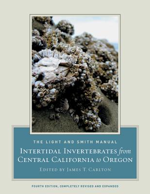 The Light and Smith Manual: Intertidal Invertebrates from Central California to Oregon By James T. Carlton (Editor) Cover Image
