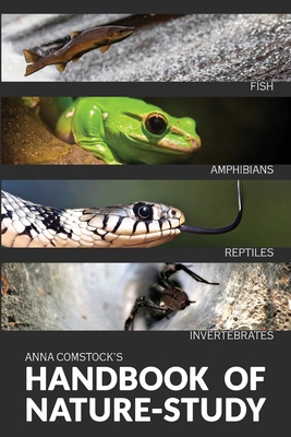 The Handbook Of Nature Study in Color - Fish, Reptiles, Amphibians, Invertebrates Cover Image