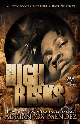High Risks Cover Image