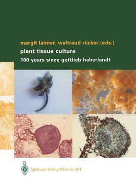 Plant Tissue Culture: 100 Years Since Gottlieb Haberlandt By Margit Laimer (Editor), Waltraud Rücker (Editor) Cover Image