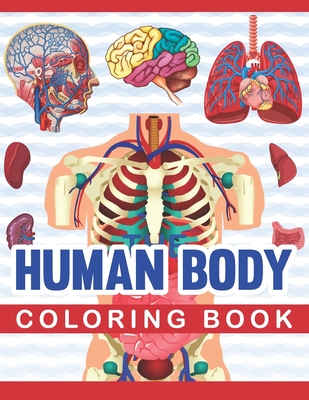 Download Human Body Coloring Book Human Body Coloring Activity Book For Kids Medical Anatomy Coloring Book For Kids Boys Girls Human Brain Heart Live Paperback Eso Won Books