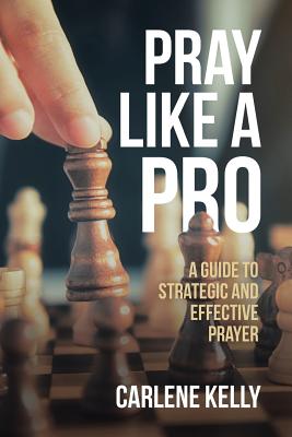 Cover for Pray Like a Pro