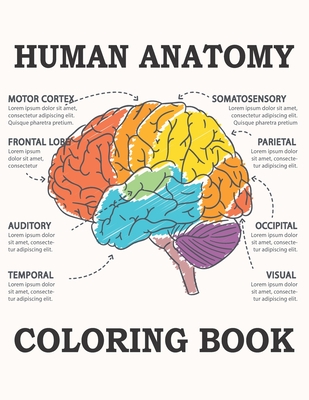 Download Human Anatomy Coloring Book Anatomy And Physiology Coloring Book For Adults Paperback Penguin Bookshop