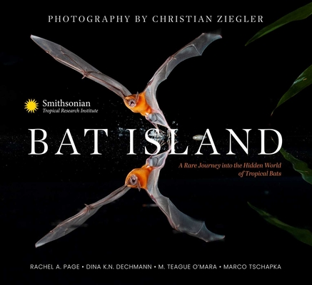 Bat Island: A Rare Journey into the Hidden World of Tropical Bats Cover Image