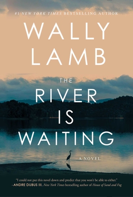 Cover Image for The River Is Waiting: A Novel