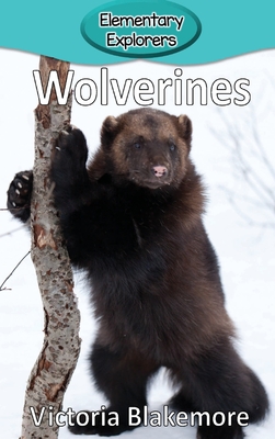 Wolverines (Elementary Explorers #79) Cover Image