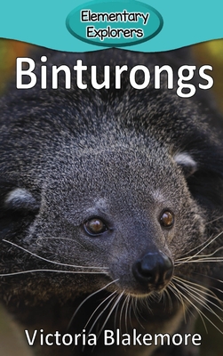 Binturongs (Elementary Explorers #29) Cover Image