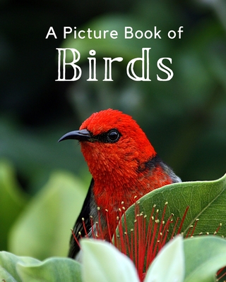 A Picture Book of Birds: A Beautiful Picture Book for Seniors With Alzheimer's or Dementia. A Perfect Gift For Bird Lovers! Cover Image