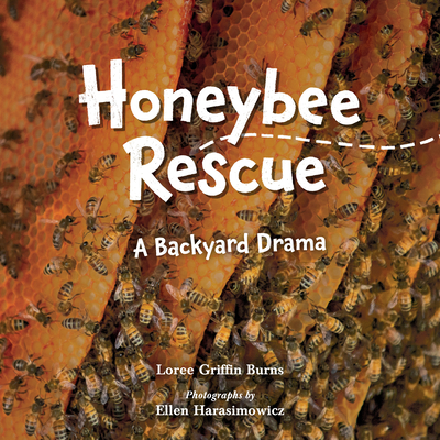 Honeybee Rescue: A Backyard Drama By Loree Burns, Ellen Harasimowicz (Photographs by) Cover Image