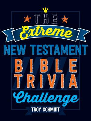 The Extreme New Testament Bible Trivia Challenge By Troy Schmidt Cover Image