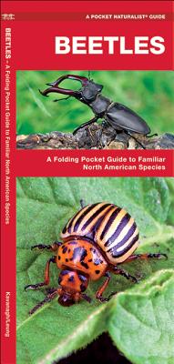 Beetles: A Folding Pocket Guide to Familiar North American Species (Pocket Naturalist Guide) By James Kavanagh, Waterford Press, Raymond Leung (Illustrator) Cover Image