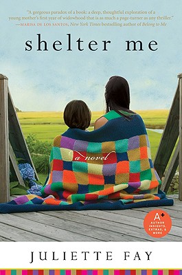 Cover Image for Shelter Me: A Novel