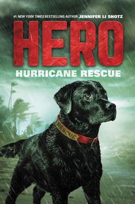 Hero: Hurricane Rescue By Jennifer Li Shotz Cover Image