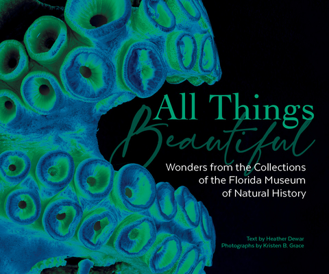 All Things Beautiful: Wonders from the Collections of the Florida Museum of Natural History By Florida Museum of Natural History Cover Image