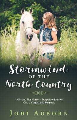 Stormwind of the North Country By Jodi L. Auborn Cover Image