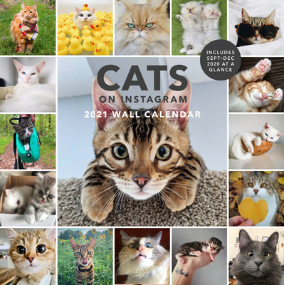 Cats on Instagram 2021 Wall Calendar: (Monthly Calendar of Adorable Internet Kitties, Photos of Cute and Funny Cats in 12-Month Calendar)