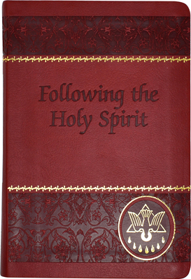 Following the Holy Spirit: Dialogues, Prayers, and Devotions By Walter Van De Putte Cover Image