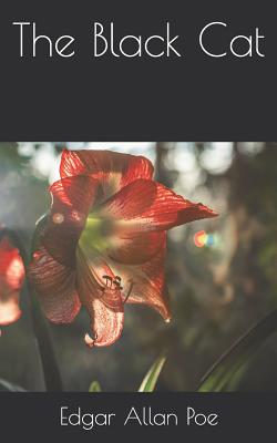 The Black Cat