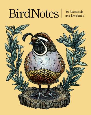 BirdNotes (16 notecards, 8 original designs): 16 Notecards and Envelopes