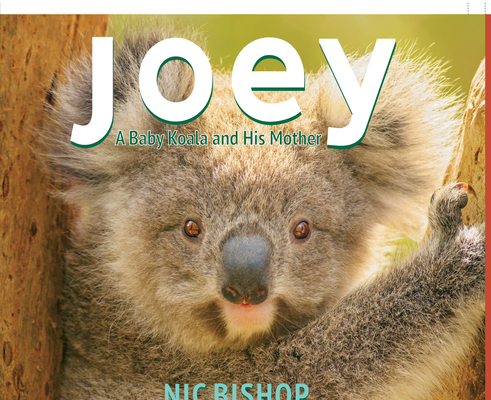 Joey: A Baby Koala and His Mother Cover Image