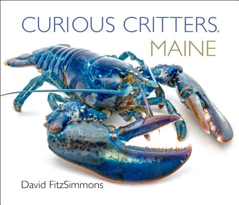 Curious Critters Maine (Curious Critters Board Books) Cover Image