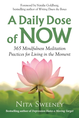 A Daily Dose of Now: 365 Mindfulness Meditation Practices for Living in the Moment Cover Image