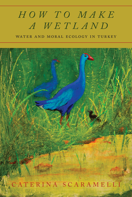 How to Make a Wetland: Water and Moral Ecology in Turkey By Caterina Scaramelli Cover Image