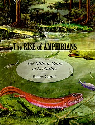 The Rise of Amphibians: 365 Million Years of Evolution By Robert Carroll Cover Image