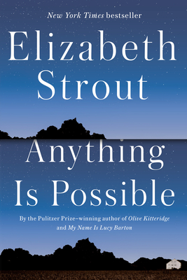 Cover Image for Anything Is Possible: A Novel