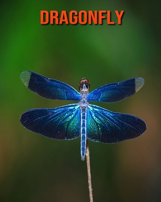 Dragonfly: Amazing Photos & Fun Facts Book About Dragonfly For Kids Cover Image
