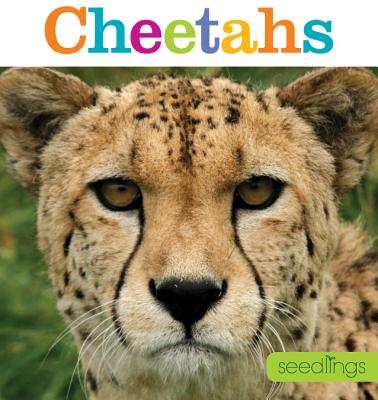 Seedlings: Cheetahs By Kate Riggs Cover Image