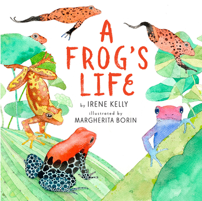 A Frog's Life By Irene Kelly, Margherita Borin (Illustrator) Cover Image