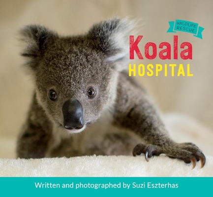 Koala Hospital (Wildlife Rescue #1) By Suzi Eszterhas Cover Image