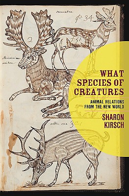 What Species of Creatures: Animal Relations from the New World Cover Image