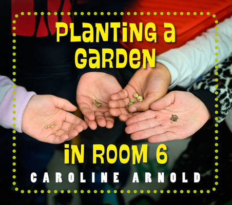 Planting a Garden in Room 6: From Seeds to Salad (Life Cycles in Room 6) By Caroline Arnold, Caroline Arnold (Illustrator) Cover Image