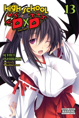 High School DxD, Vol. 13 (light novel) (High School DxD (light novel) #13)