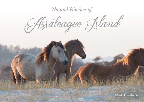 Natural Wonders of Assateague Island By Mark Hendricks Cover Image
