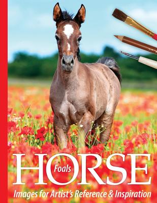 Cover for Foals: Horse Images for Artist's Reference and Inspiration