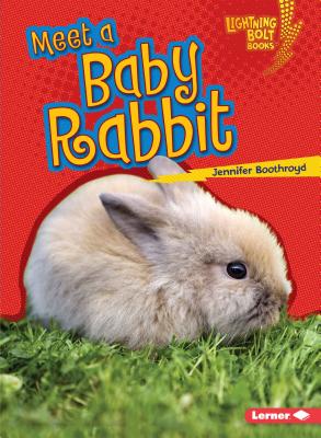 Meet a Baby Rabbit By Jennifer Boothroyd Cover Image