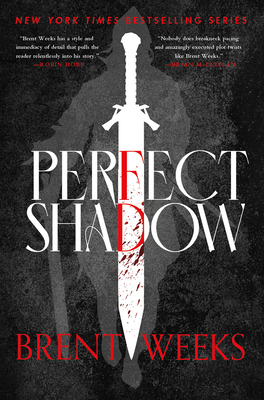 Perfect Shadow (The Night Angel Trilogy)