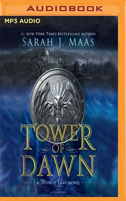 Tower of Dawn (Throne of Glass Book 6) See more