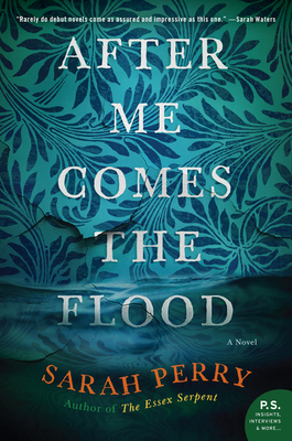 Cover for After Me Comes the Flood