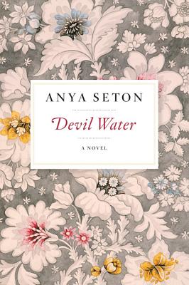 Devil Water: A Novel