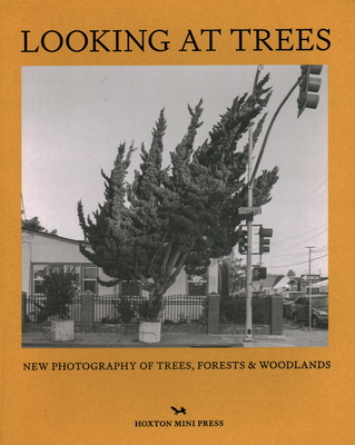 Looking at Trees: New Photography of Trees, Forests and Woodlands Cover Image