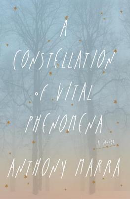 Cover Image for A Constellation of Vital Phenomena: A Novel