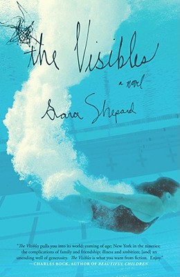 Cover for The Visibles