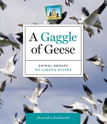Gaggle of Geese: Animal Groups on Lakes & Rivers: Animal Groups on Lakes & Rivers Cover Image