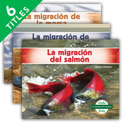 La Migración Animal (Animal Migration) (Spanish Version) (Set)