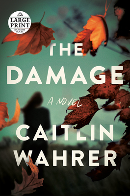 The Damage: A Novel By Caitlin Wahrer Cover Image